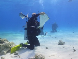 014 Steve at Stingray City IMG 5949